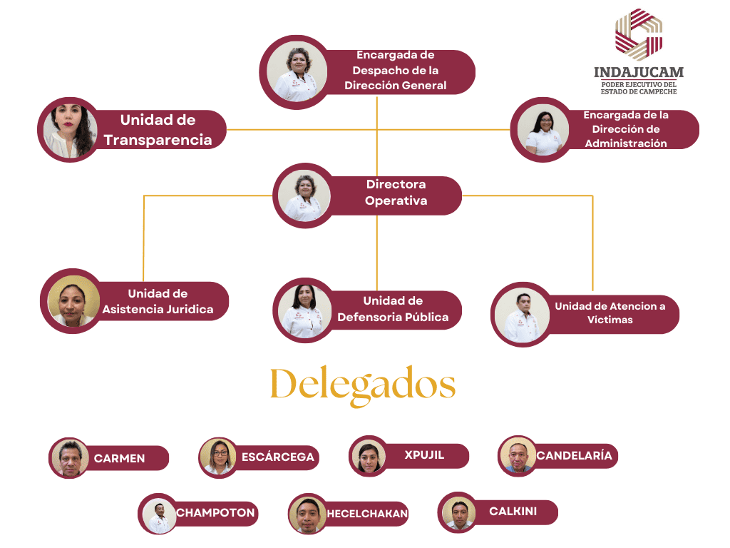 Organigrama Institucional